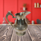 Brass Water Jug Pitcher 964g(Pack of 4)